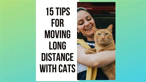 long distance move with cats